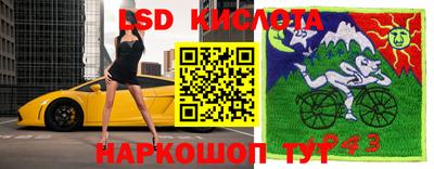 прущие грибы Кулебаки