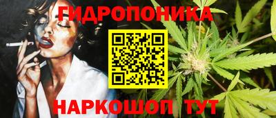 прущие грибы Кулебаки
