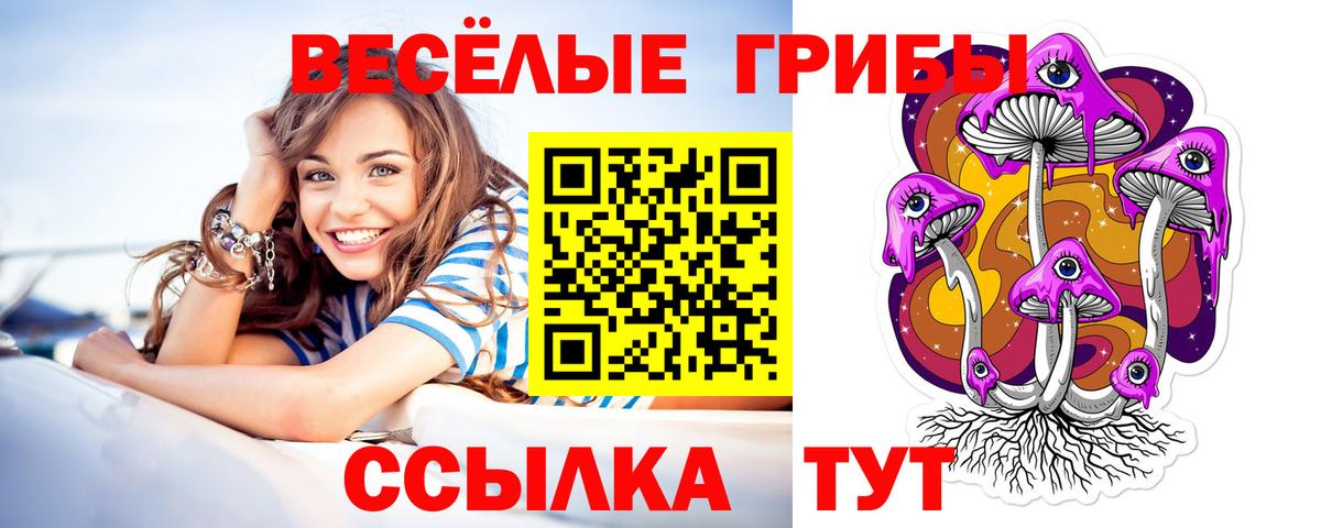 Галлюциногенные грибы Psilocybe Ялта